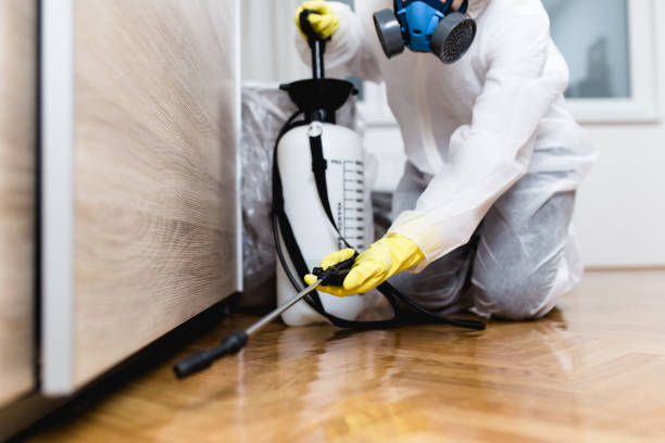 Pest Control for Restaurants in Avon, MN