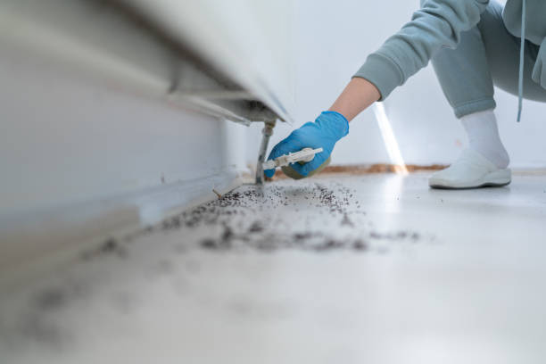 Best Pest Prevention Services  in Avon, MN