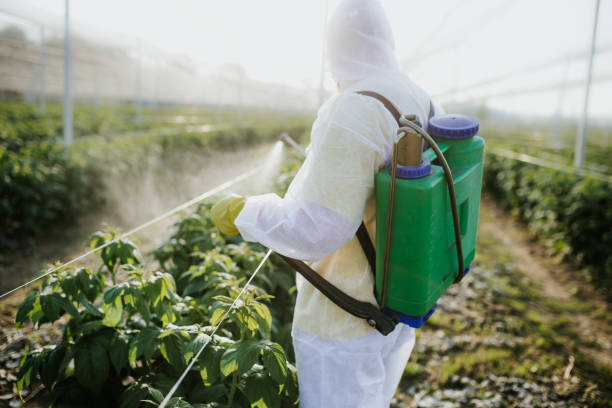 Pest Control Cost in Avon, MN